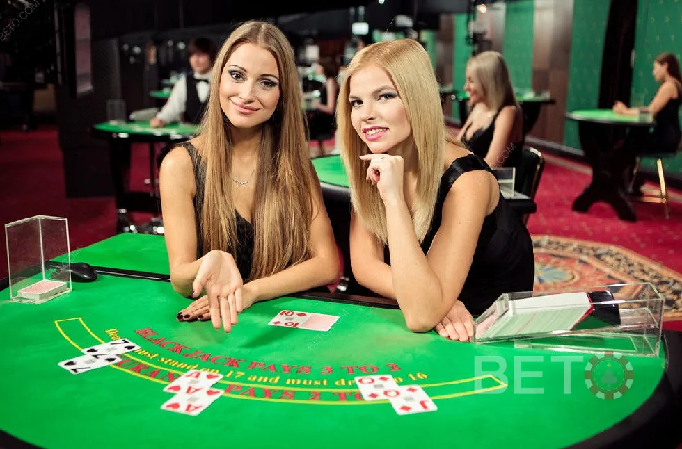 Tampilan meja live dengan dealer, area taruhan, dan informasi ronde
